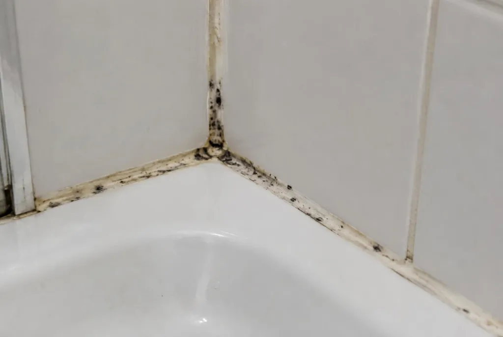 Kitbedrijf Eerbeek – beschimmelde kitranden